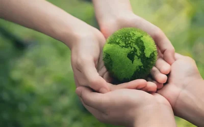 Nature’s Breakthrough: How Natural Materials Are Revolutionizing Sustainable Tech