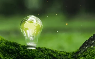 Green vs. Traditional: Why Sustainable Practices Are the New Standard