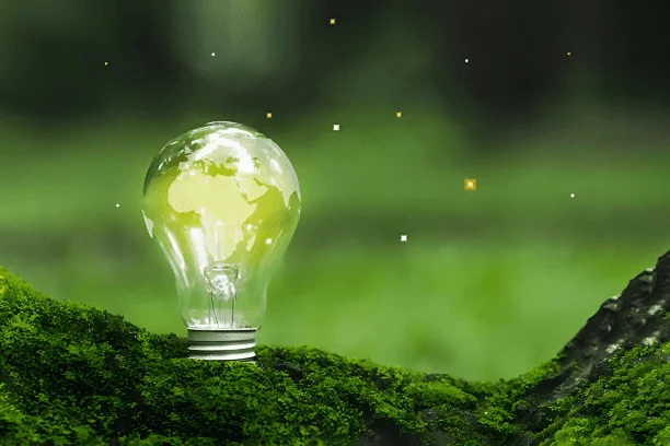 Green VS Traditional